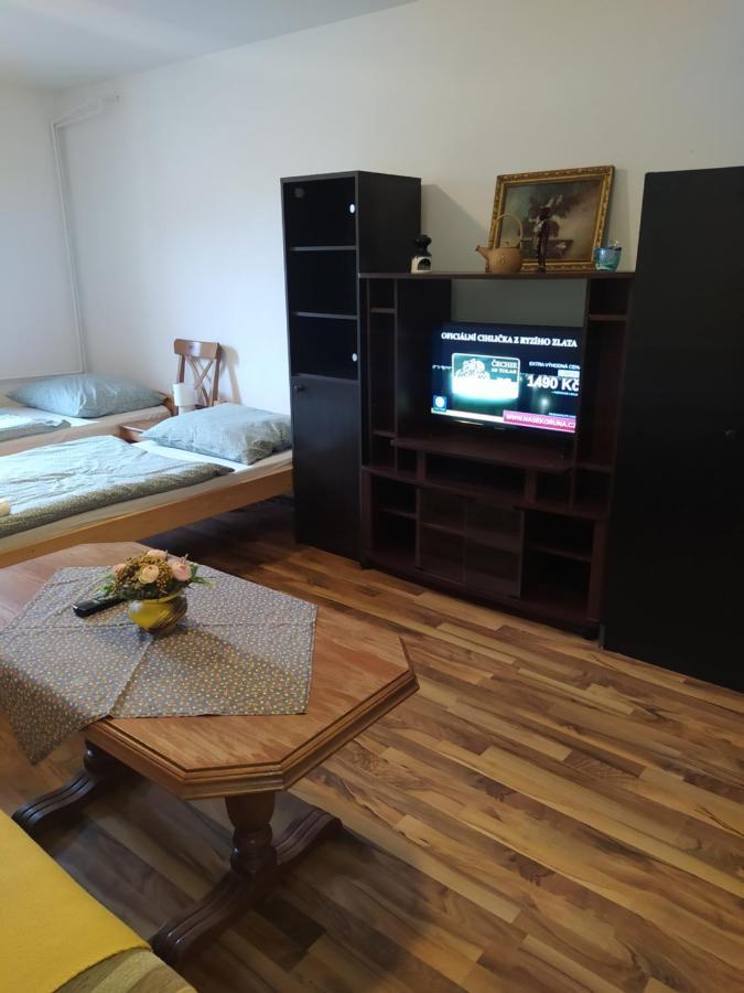 Frenštát pod RadhoštěmTuristicky Apartman ,Pro 3-4Os公寓 外观 照片